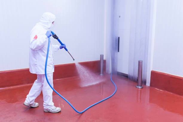 Best Warehouse Floor Cleaning in Encantada Ranchito El Calaboz, TX
