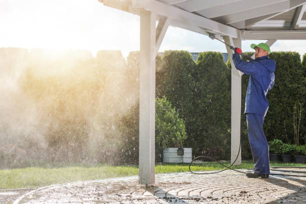 Best Soft Washing for Delicate Surfaces in Encantada Ranchito El Calaboz, TX